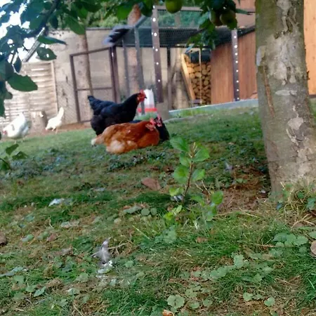 Citynahe Festung Ehrenbreitstein 65m² Mit Grossem Garten Koblenz (Rhineland-Palatinate)