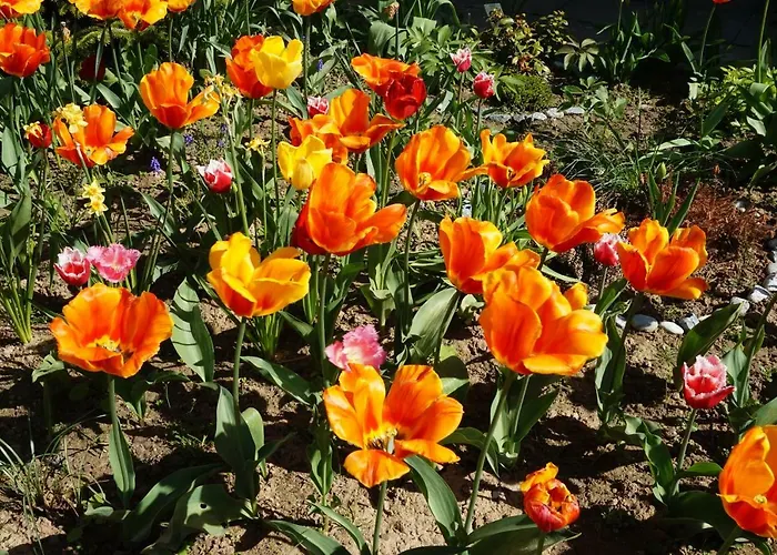 Citynahe Festung Ehrenbreitstein 65m² Mit Grossem Garten Apartmán *